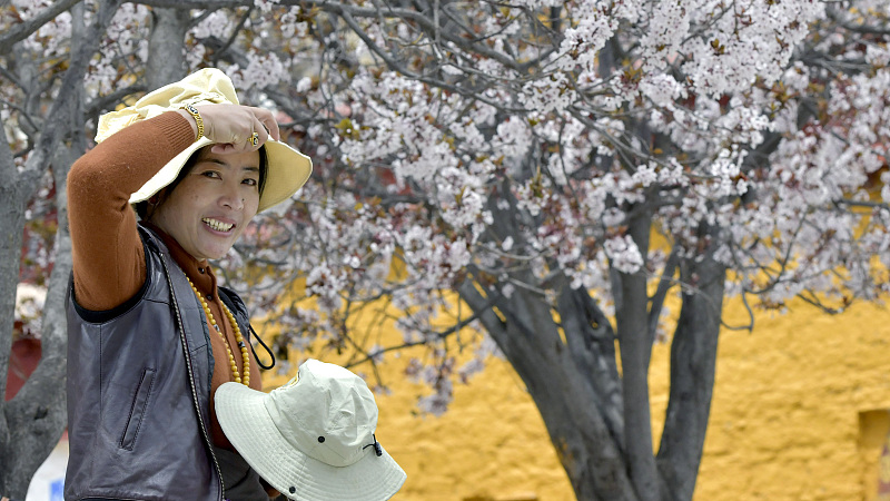 Residents and tourists take photos with flowers in Lhasa, China's Xizang Autonomous Region, April 6, 2024. /CFP
