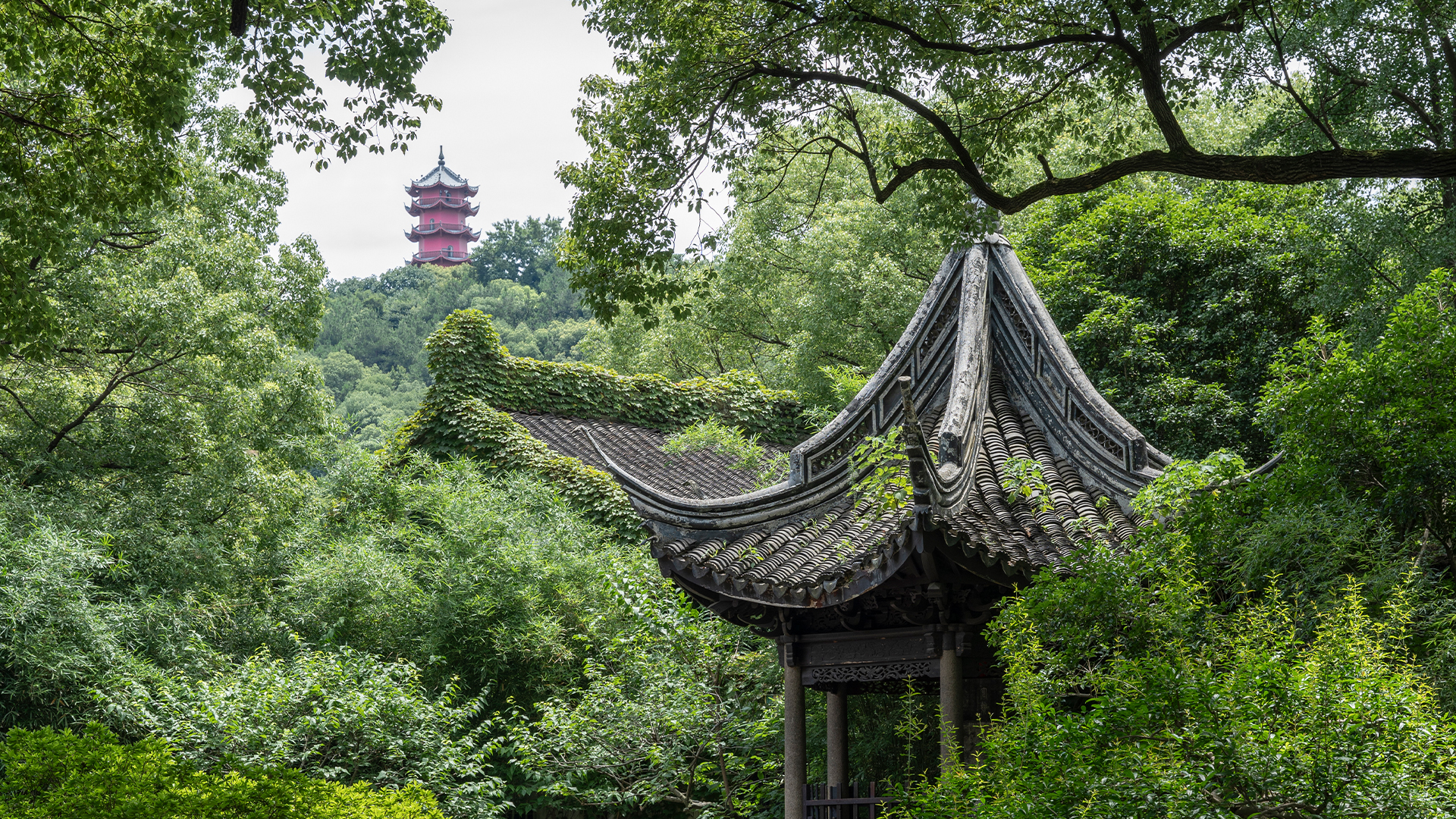 Jichang Garden, a summer escape