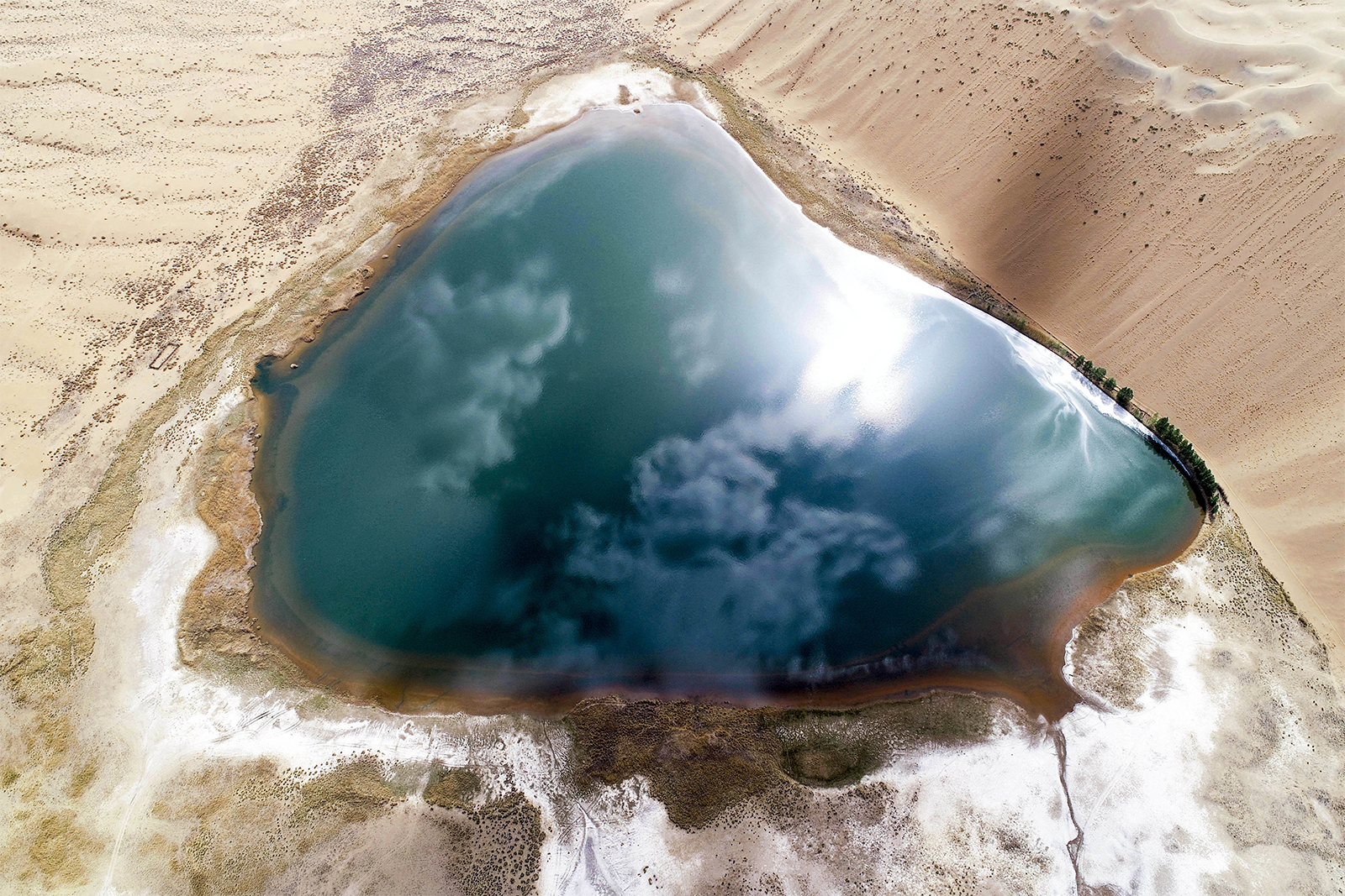 An aerial view of a lake in the Badain Jaran Desert in Alxa League, north China's Inner Mongolia Autonomous Region. /IC