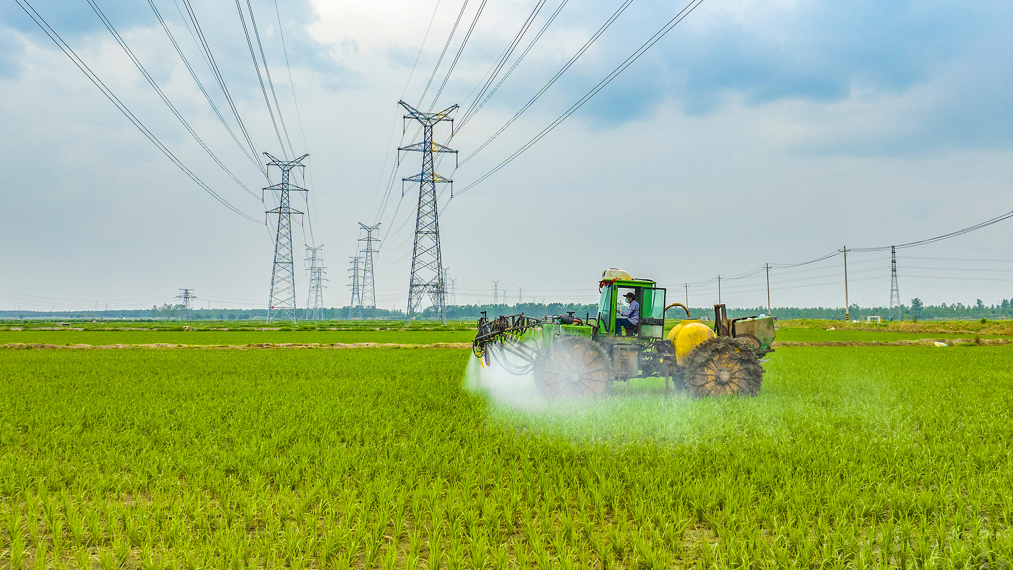 A farm worker sprays herbicide on rice in Suqian, Jiangsu Province, China, July 8, 2024. /CFP