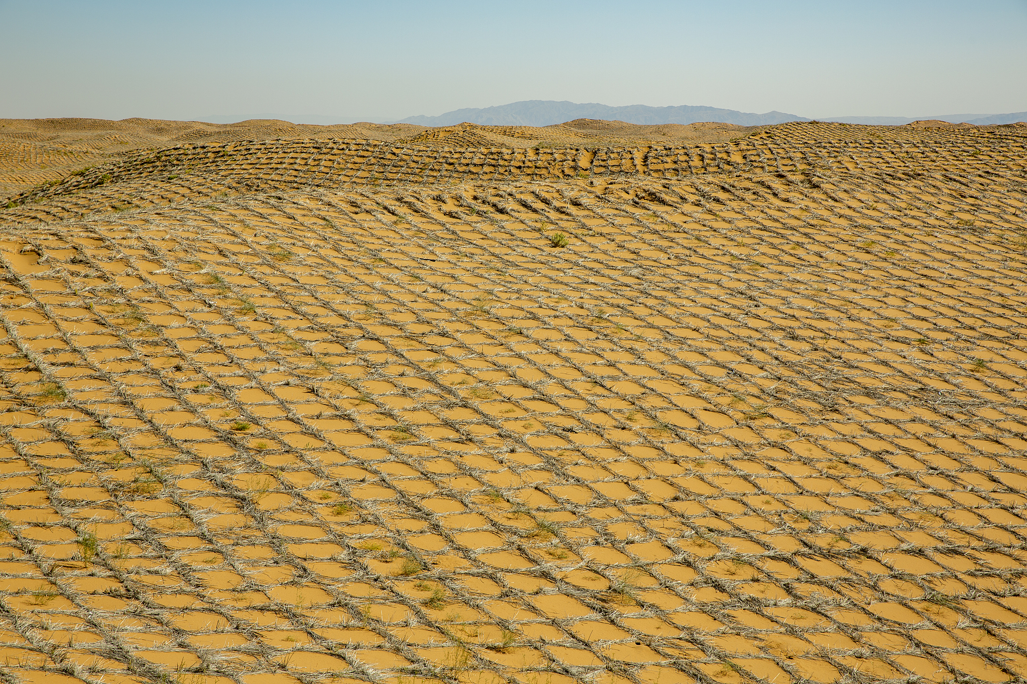 Straw checkerboard in the Tengger Desert at the northwest of Ningxia's Zhongwei City. /CFP
