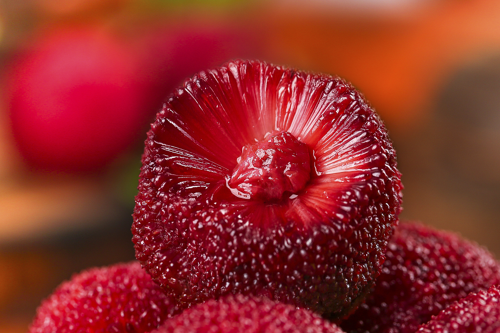 Waxberries. /CFP