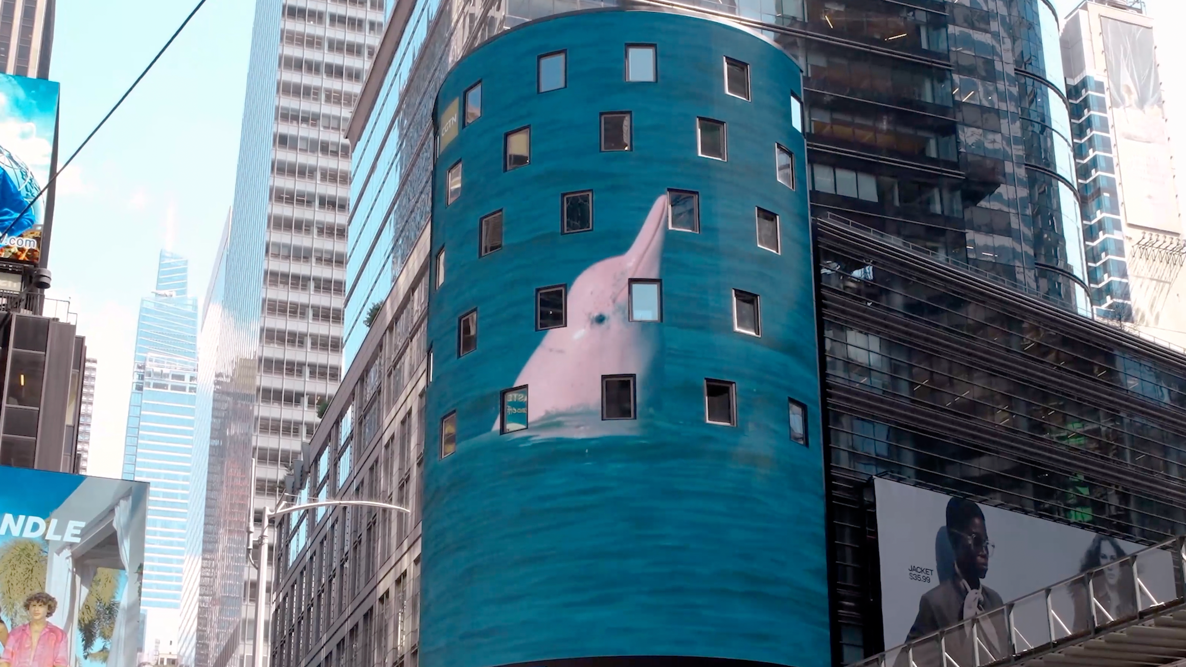 Echoes of the Ocean marine conservation campaign reaches New York