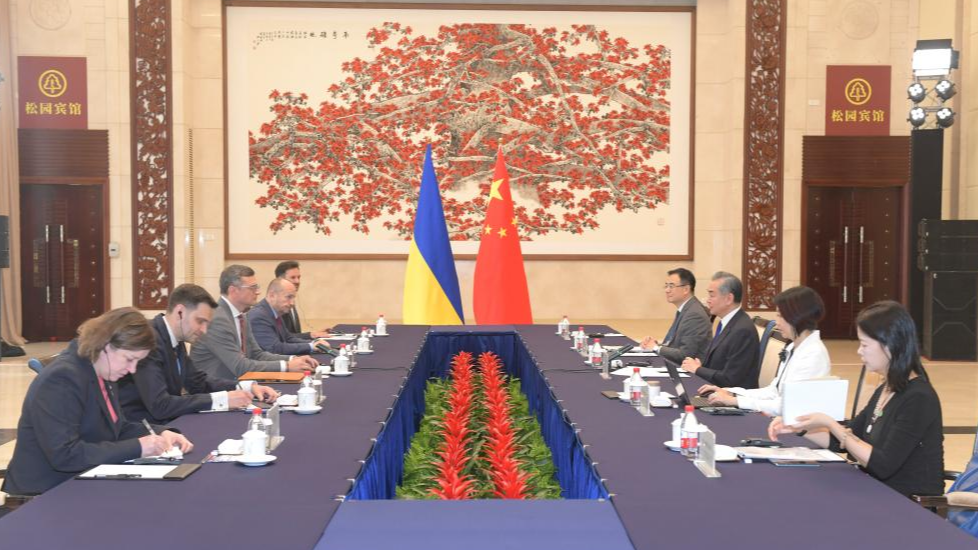Chinese Foreign Minister Wang Yi, also a member of the Political Bureau of the Communist Party of China Central Committee, holds talks with Ukrainian Foreign Minister Dmytro Kuleba in Guangzhou, south China's Guangdong Province, July 24, 2024. /Xinhua