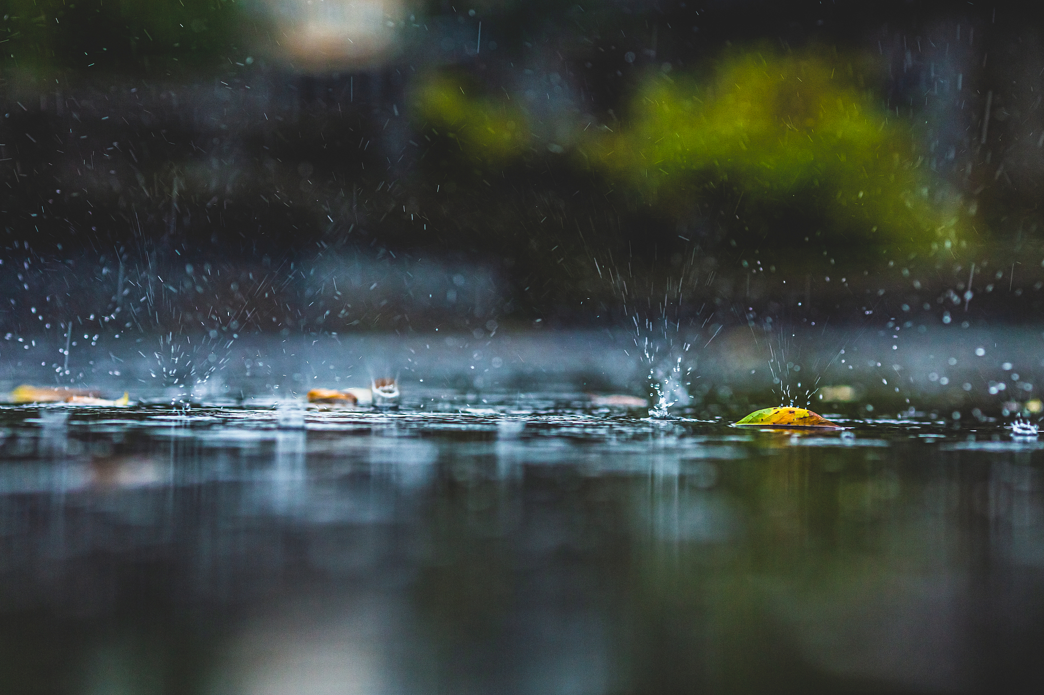 By analyzing a wide range of observational data, the researchers found that rainfall variability has since the 1900s increased in about 75 percent of the land areas studied, particularly in Europe, Australia and the eastern part of North America. /CFP