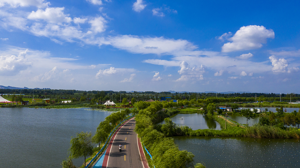 Rural roads appear to shuttle through blue skies and white clouds in Huaibei City, Anhui Province on July 25, 2024. /CFP