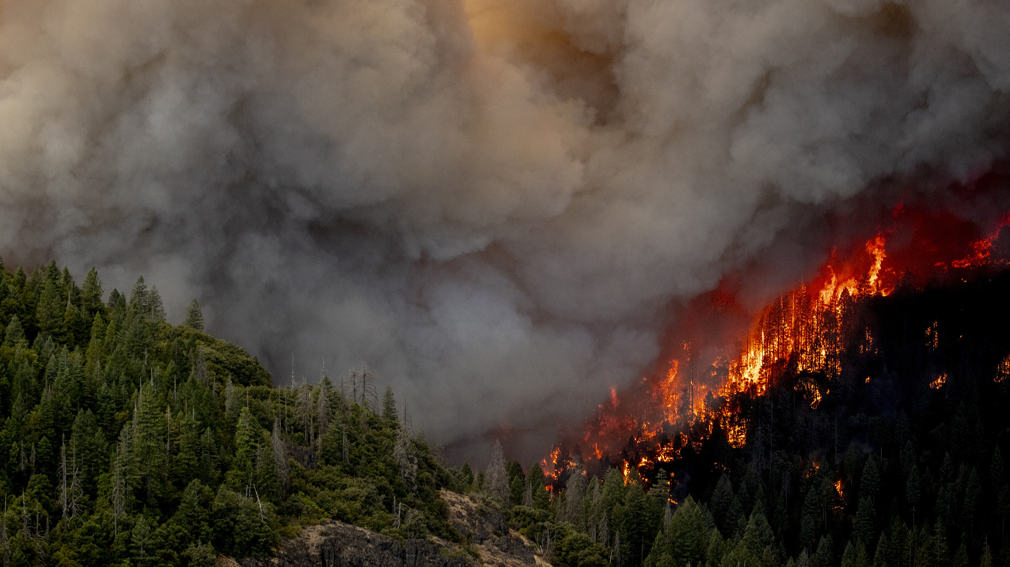 A column of flame burns on a hillside during the Park Fire near Lomo, California, U.S., July 26, 2024. /CFP