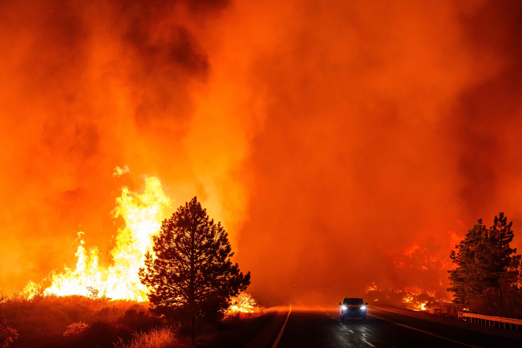 A vehicle drives along Highway 36 while flames tear through the area as the Park Fire continues to burn near Paynes Creek in unincorporated Tehama County, California, U.S., July 26, 2024. /CFP