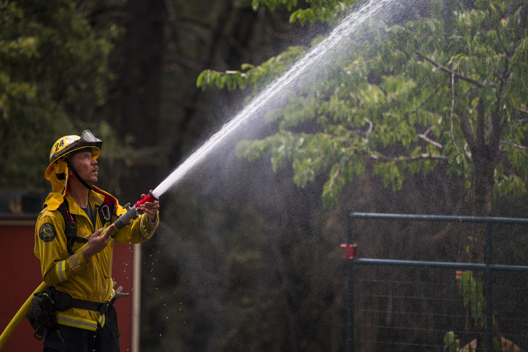 Volunteer firefighter Craig Klieb sprays water around his house as the Park Fire burns nearby in Forest Ranch, California, U.S., July 27, 2024. /CFP