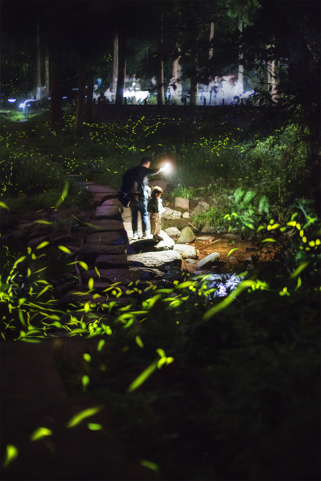 Visitors view fireflies at Tiantai Mountain Scenic Area in Qionglai, Chengdu, Sichuan Province. /Photo provided to CGTN