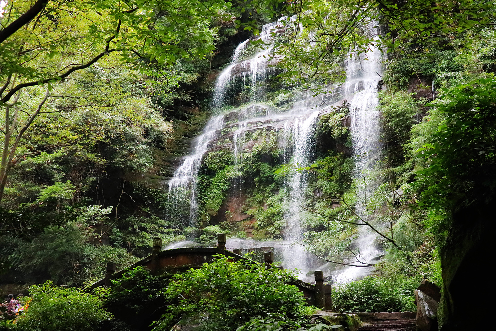 Fireflies, a summer attraction at Tiantai Mountain in Chengdu - CGTN