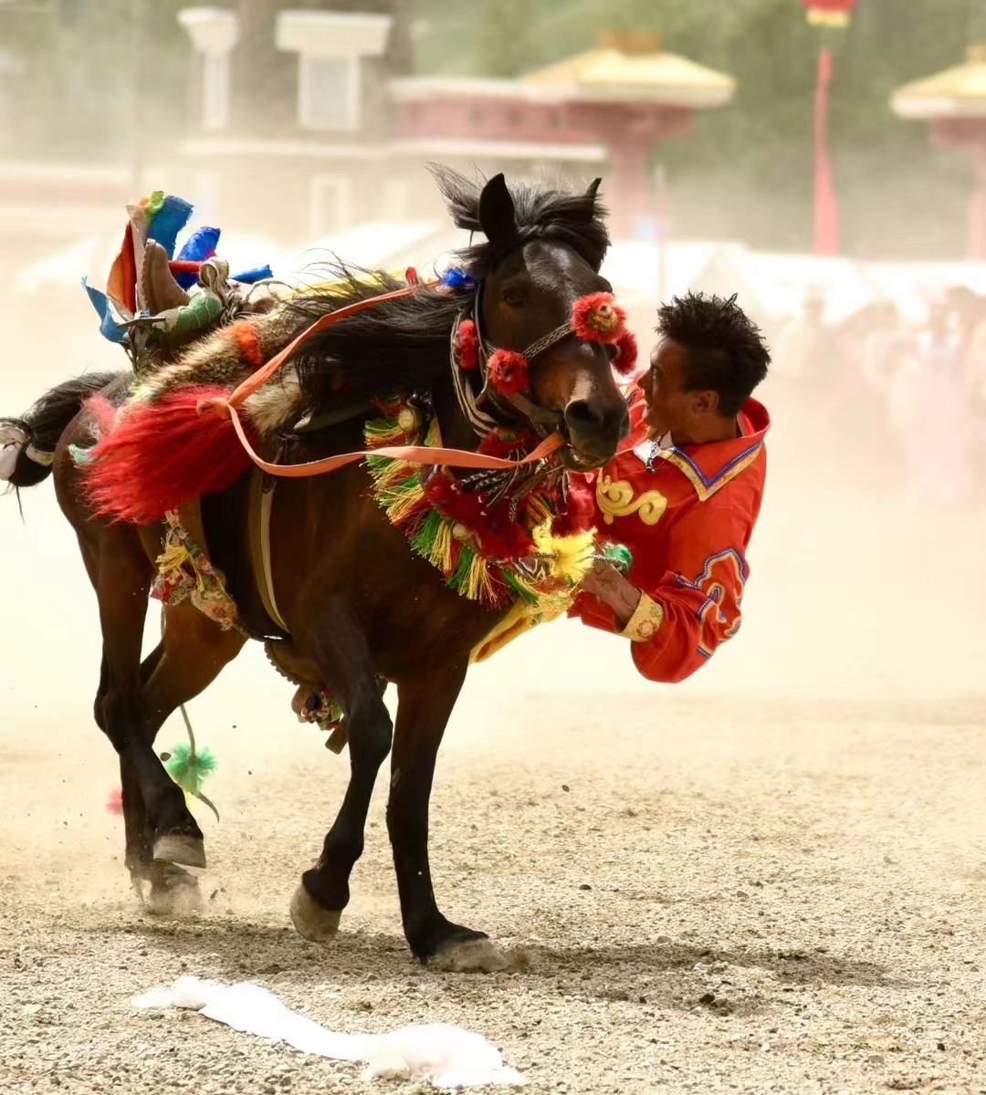 A man hangs off a horse at the opening of the Yushu Horse Racing Festival in Yushu City, Yushu Tibetan Autonomous Prefecture, northwest China's Qinghai Province, July 25, 2024. /Courtesy of Publicity Department of the CPC Yushu Municipal Committee