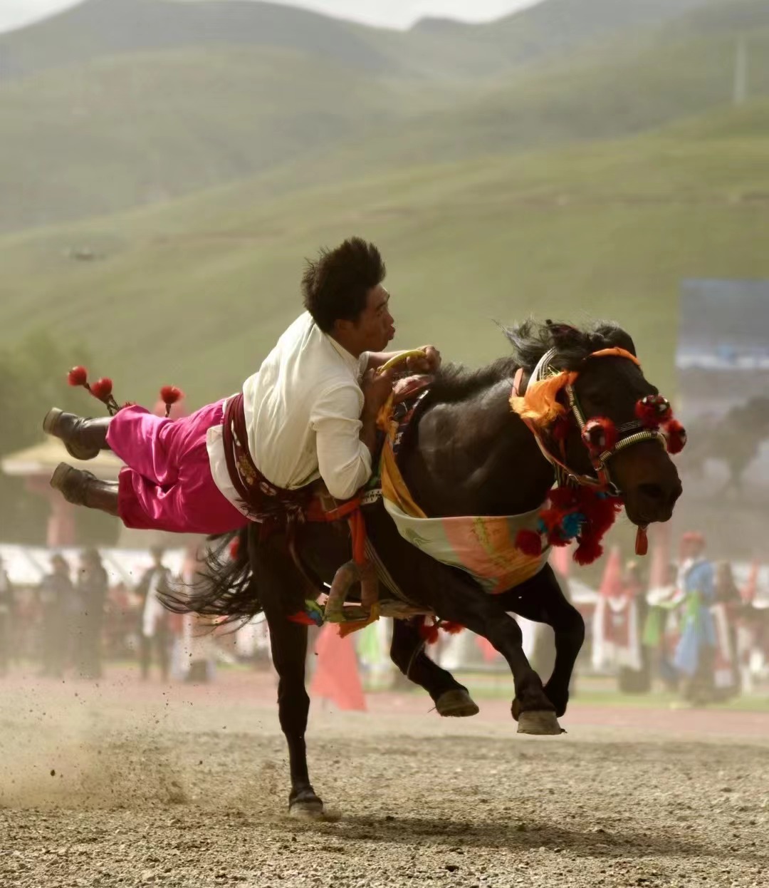 A man hangs off a horse at the opening of the Yushu Horse Racing Festival in Yushu City, Yushu Tibetan Autonomous Prefecture, northwest China's Qinghai Province, July 25, 2024. /Courtesy of Publicity Department of the CPC Yushu Municipal Committee