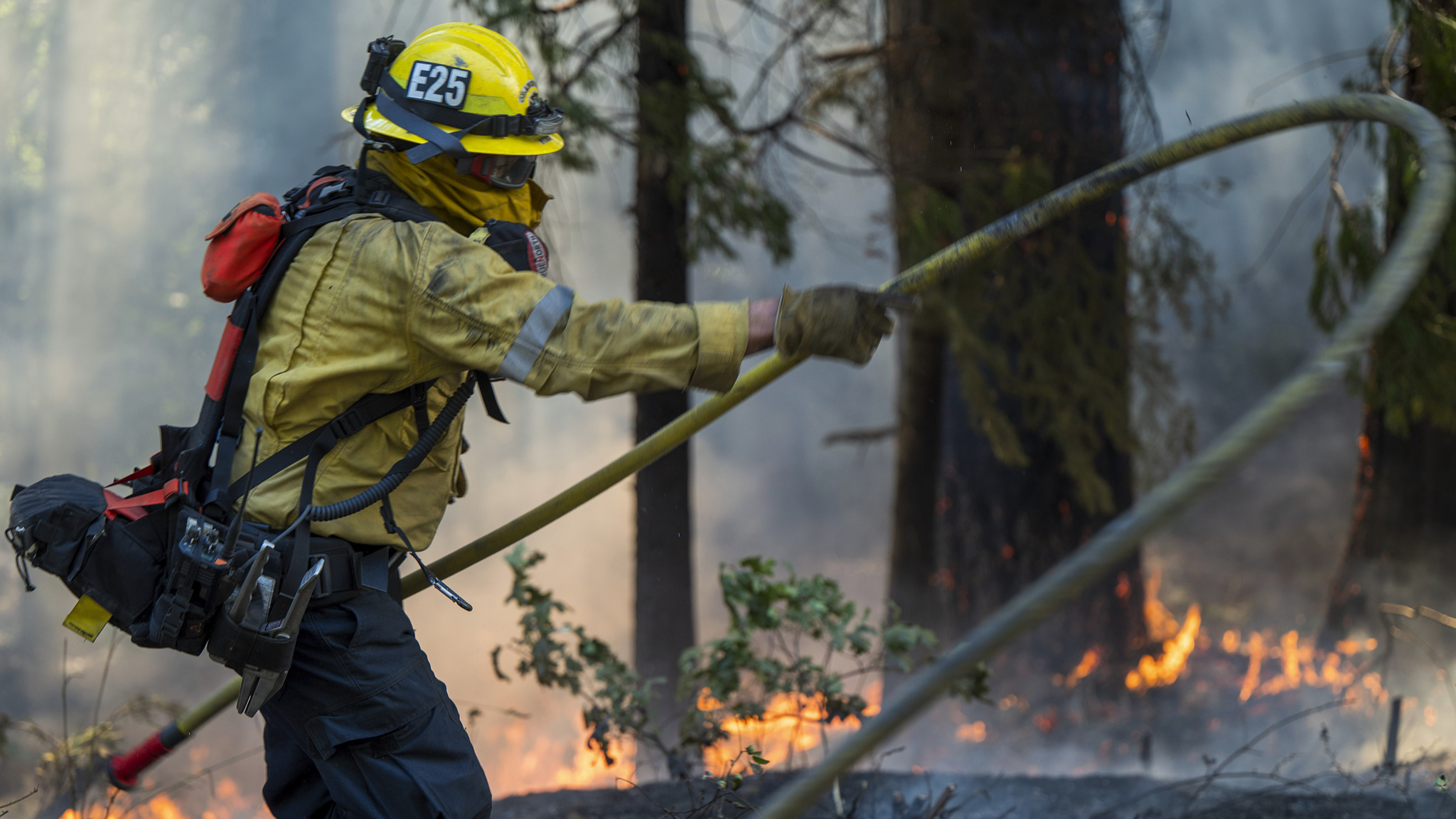 A firefighter lays out a hose line while fighting the Park Fire near Forest Ranch, California, U.S., July 28, 2024. /CFP