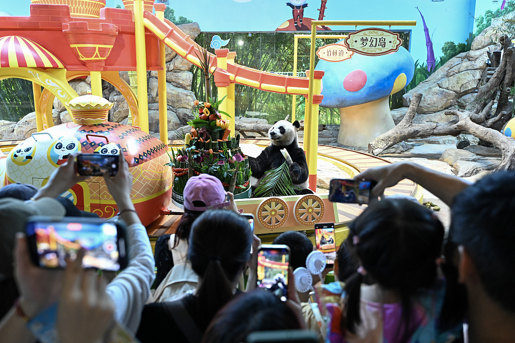 A photo taken on July 29, 2024 shows people taking photos as Shuai Shuai enjoys a birthday feast at the Chimelong Safari Park in Guangzhou, Guangdong Province, China. /CFP