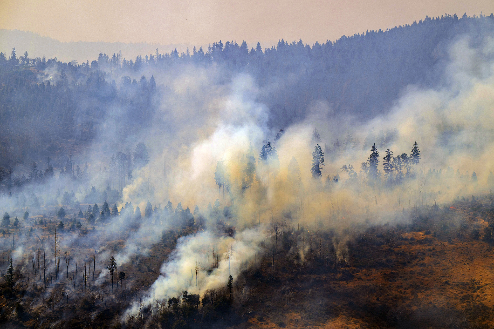 Kebakaran Park terjadi di dekat Butte Meadows di California, 29 Juli 2024. /CFP