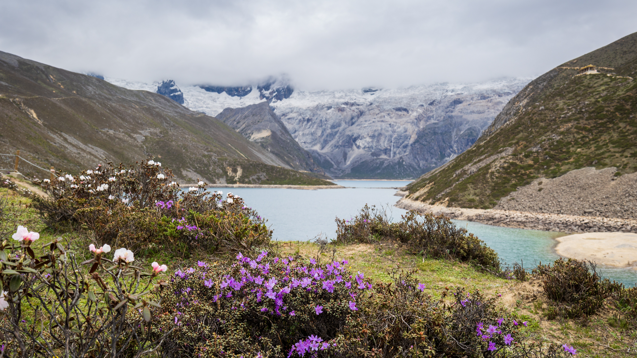 A scenery from the city of Shannan in Xizang Autonomous Region, China. /CFP