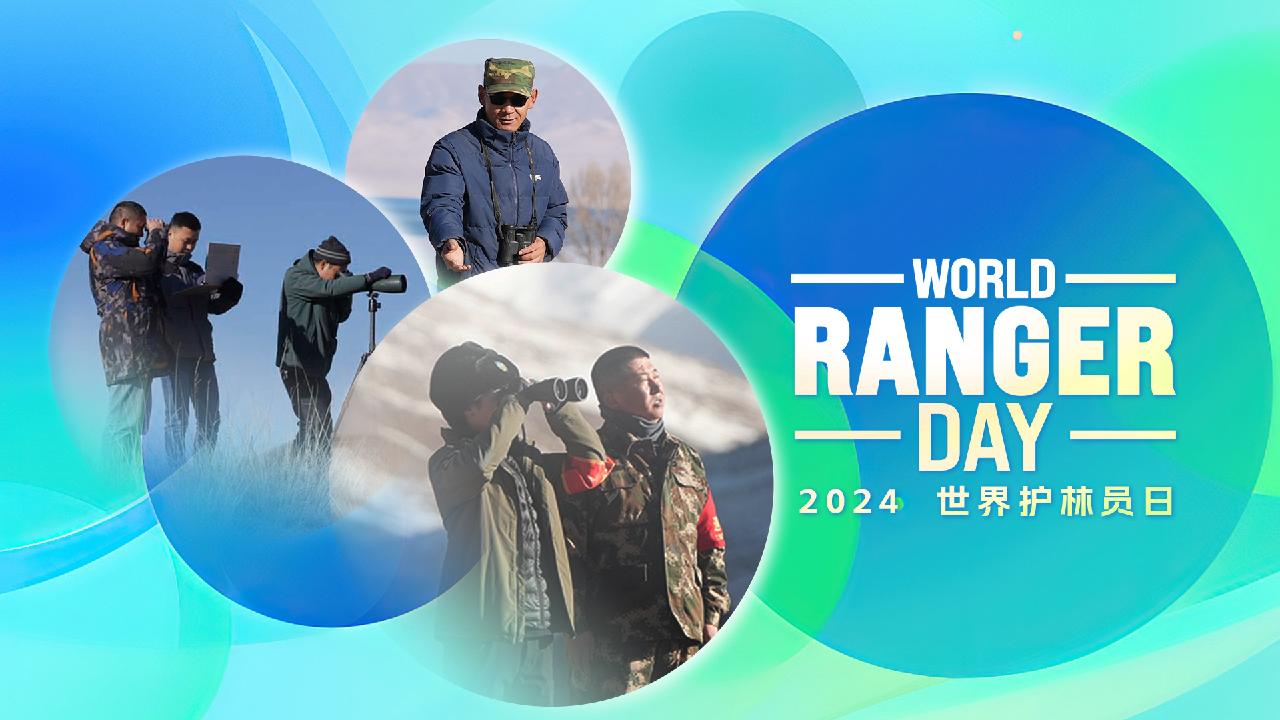 Internation Ranger Day What Is World Ranger Day