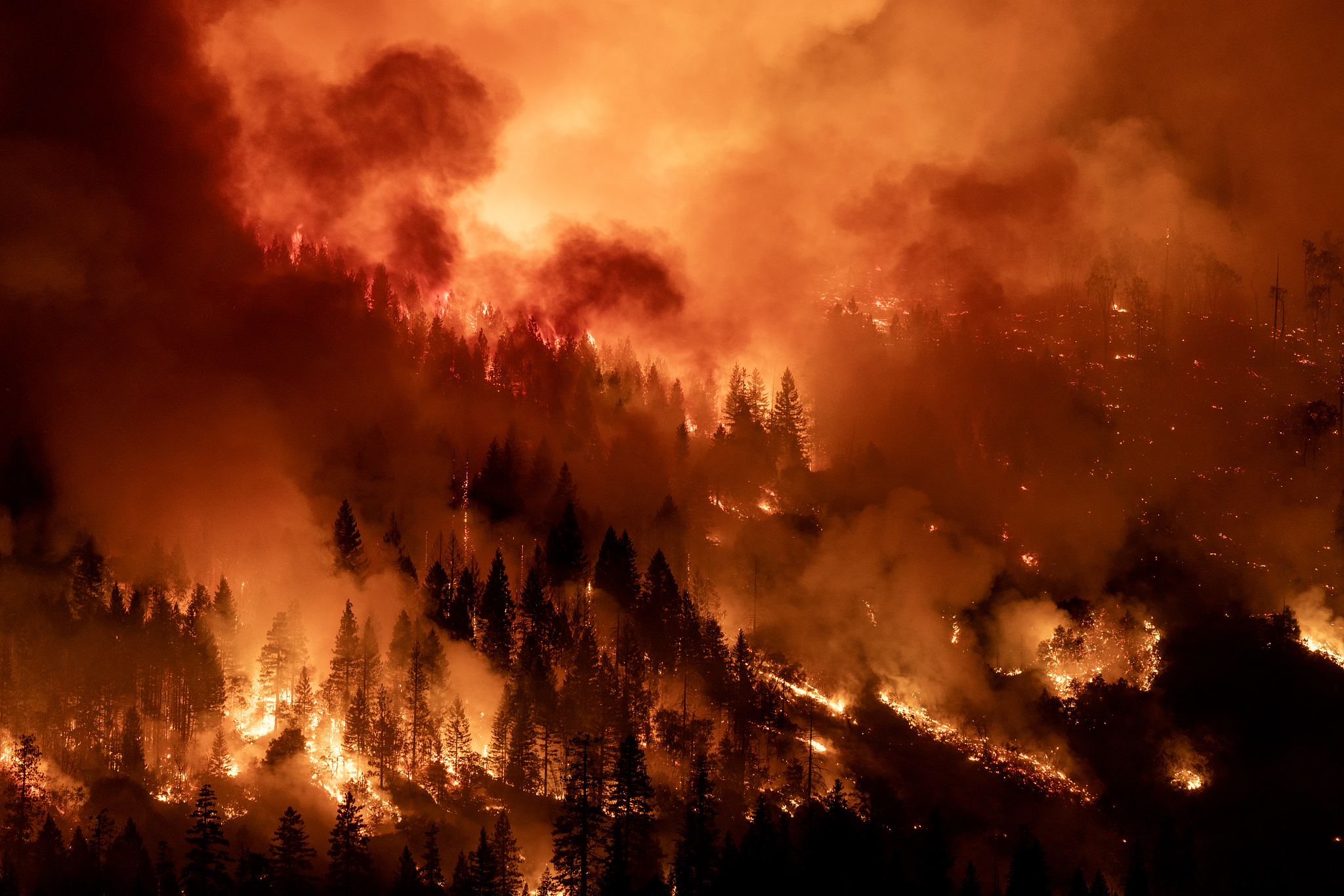 The Park Fire burns through the night near Chico, California, USA, July 30, 2024. /CFP