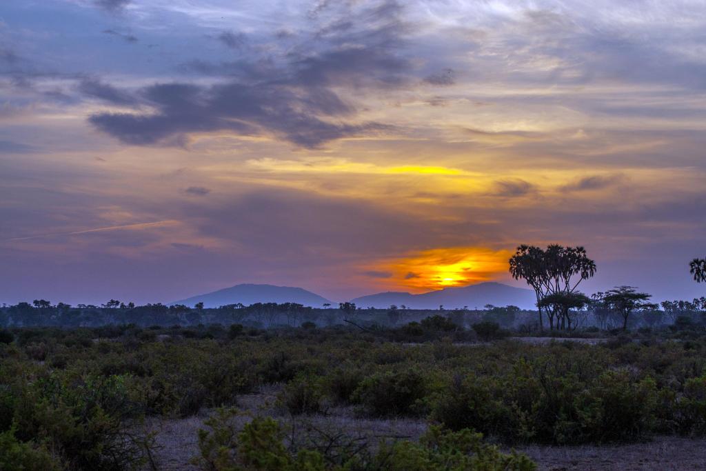 Uncover Africa's wonders: A glimpse of nature's grandeur 