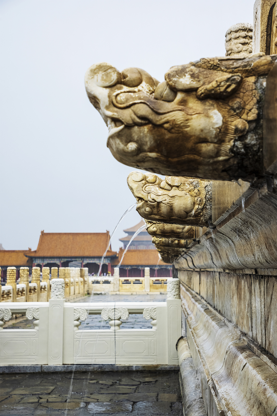 Rainwater spouts from the mouths of stone dragon heads at the Palace Museum in Beijing during a heavy rain on July 30, 2024. /CFP