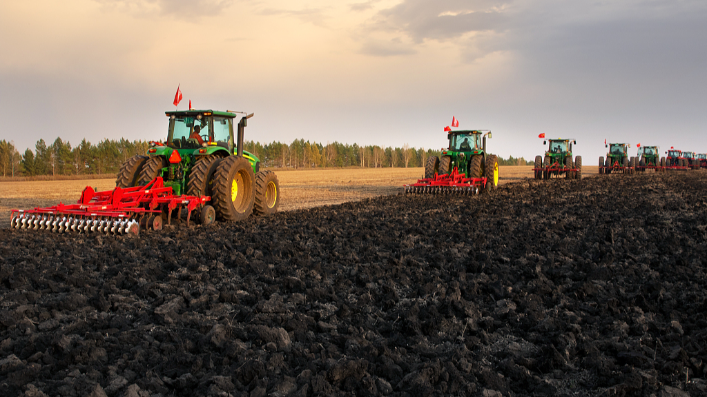 A file photo shows farmers harvesting soybeans in Heilongjiang. /CFP