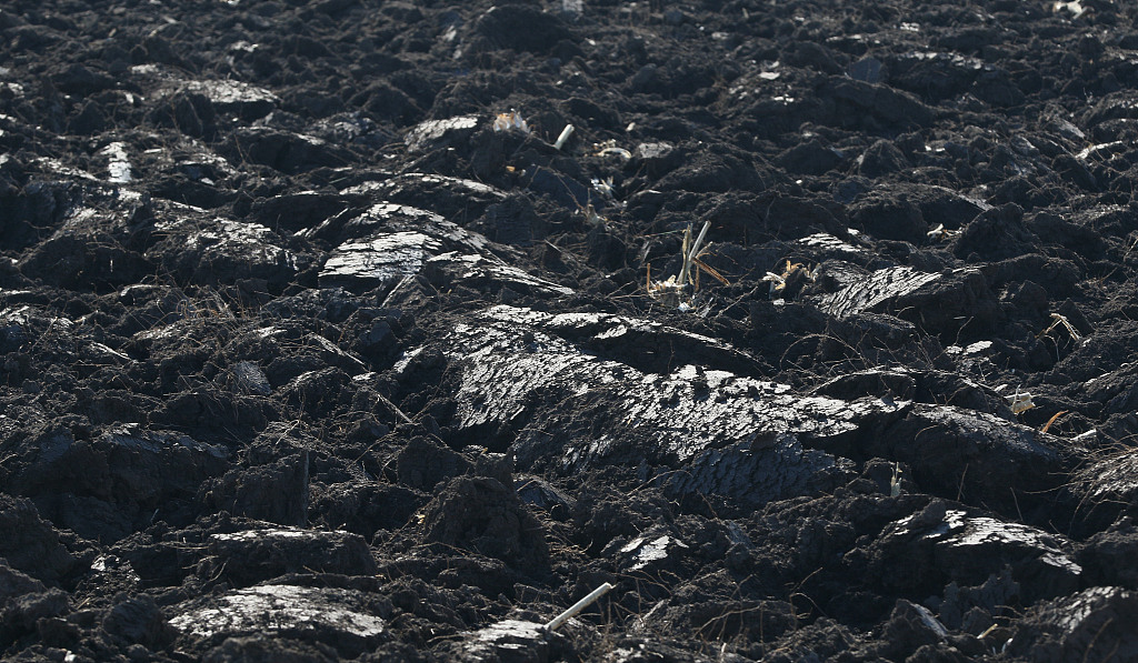 A file photo shows a closer detail of black soil in Harbin, Heilongjiang, China. /CFP