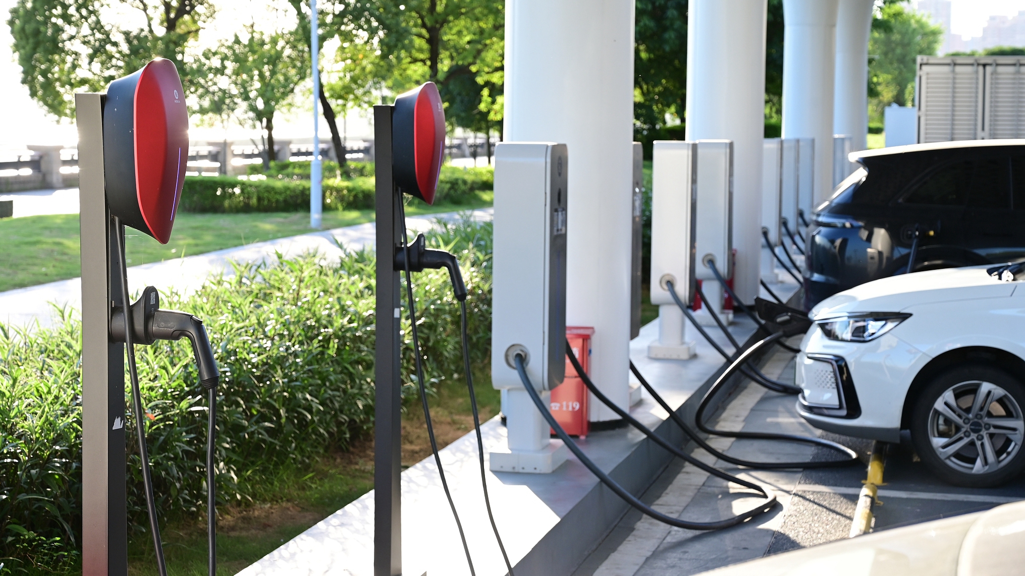 Charging piles are seen in Fuzhou City, east China's Fujian Province, July 7, 2024. /CFP