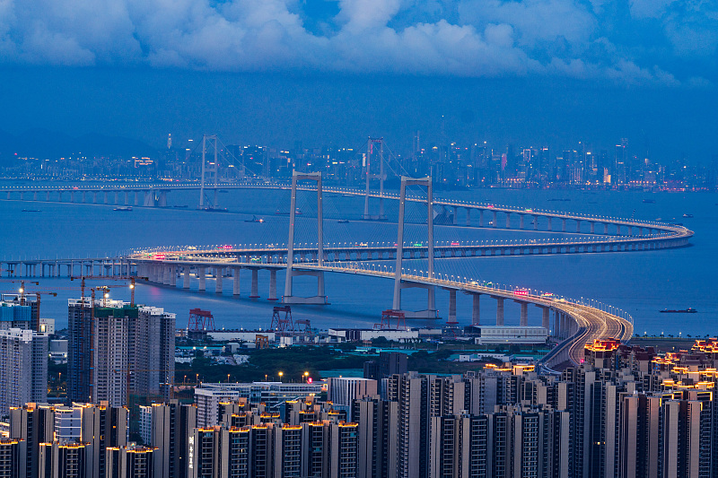 A night view of the Shenzhen-Zhongshan Link in south China's Guangdong Province, June 27, 2024. /CFP