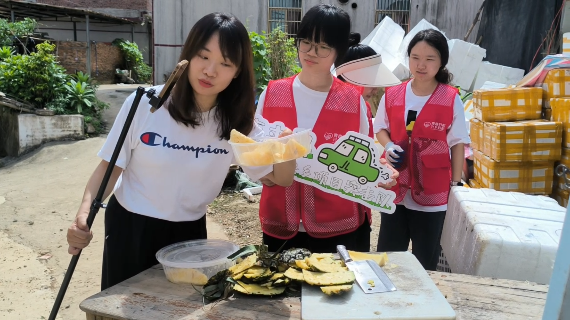 College students help villagers in Guangdong sell pineapples online. 