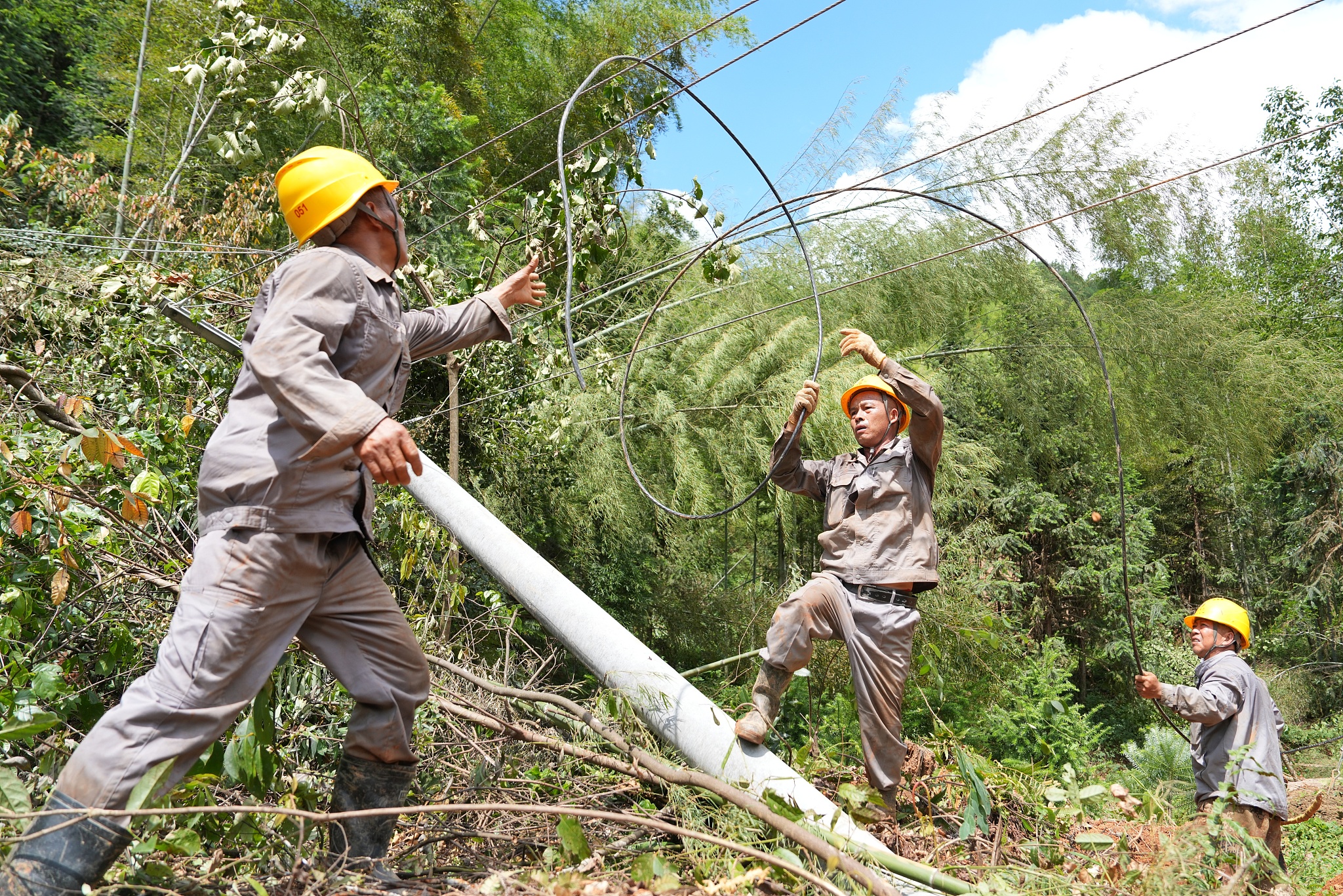 Workers repair electric lines in Yao Township of Bayanshan, Zixing, central China's Hunan Province, August 1, 2024. /CFP