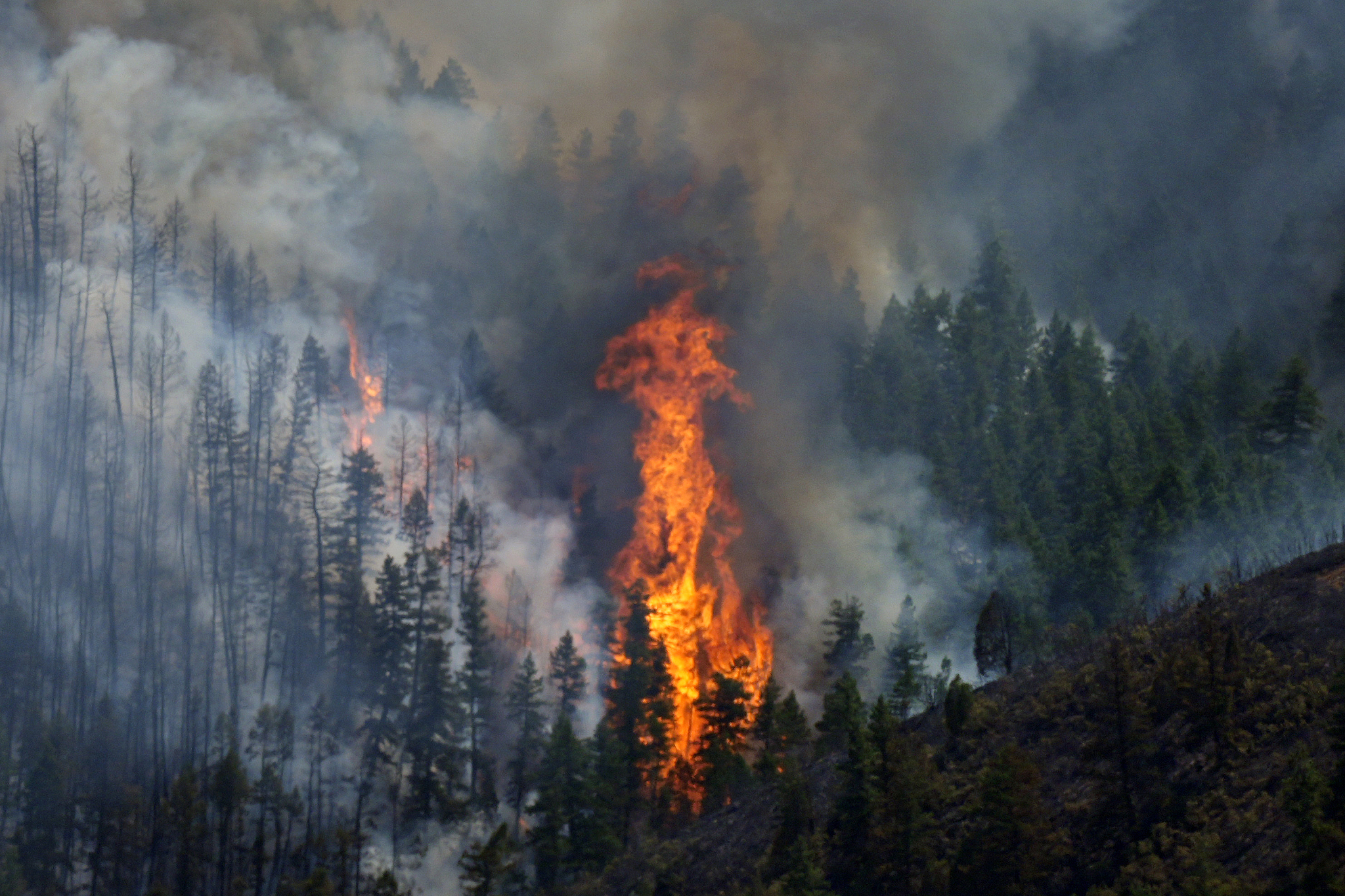 Api membubung di tengah kepulan asap dari kebakaran hutan yang membakar sepanjang punggung bukit dekat Ken Caryl Ranch, Colorado, 31 Juli 2024. /CFP