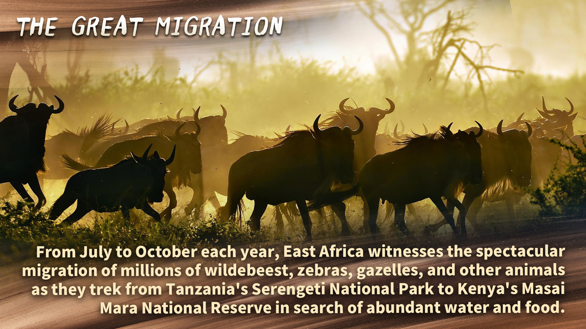 East Africa: The world-renowned great migration