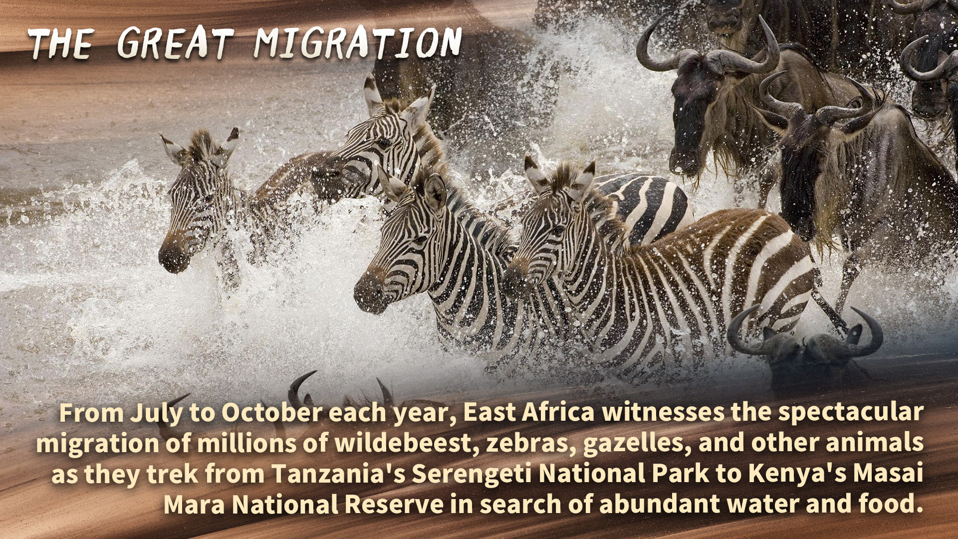 East Africa: The world-renowned great migration