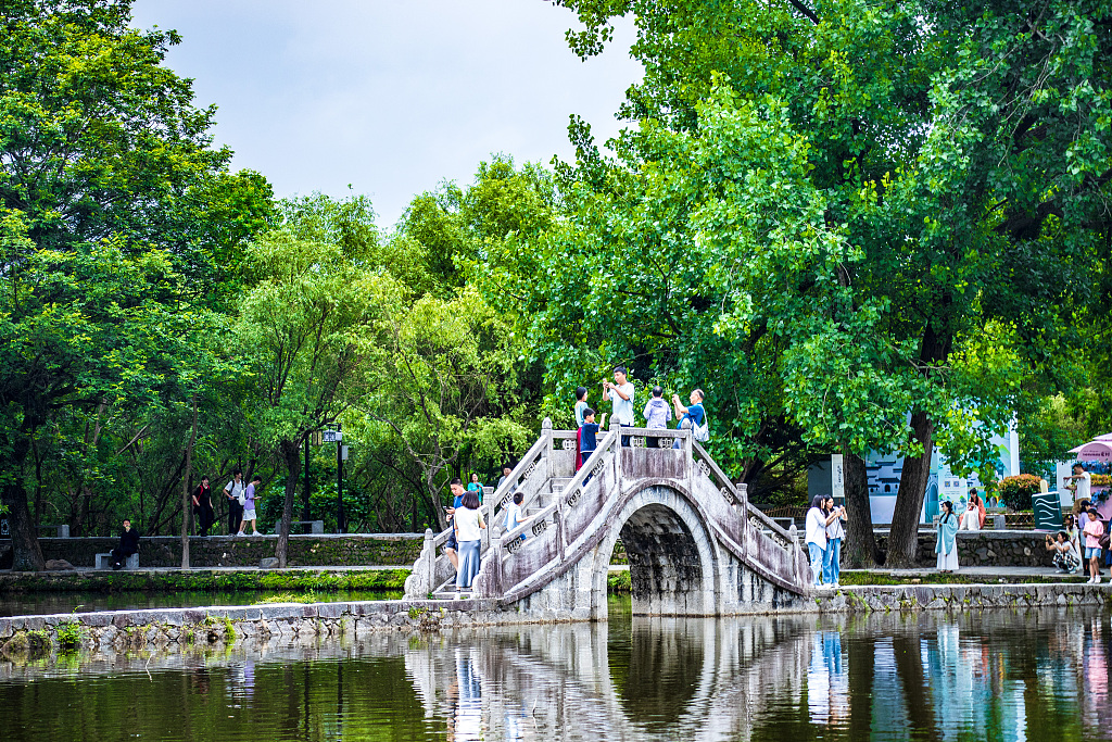 A view of a pond in Hongcun Village, east China’s Anhui Province, June 19, 2024 /CFP