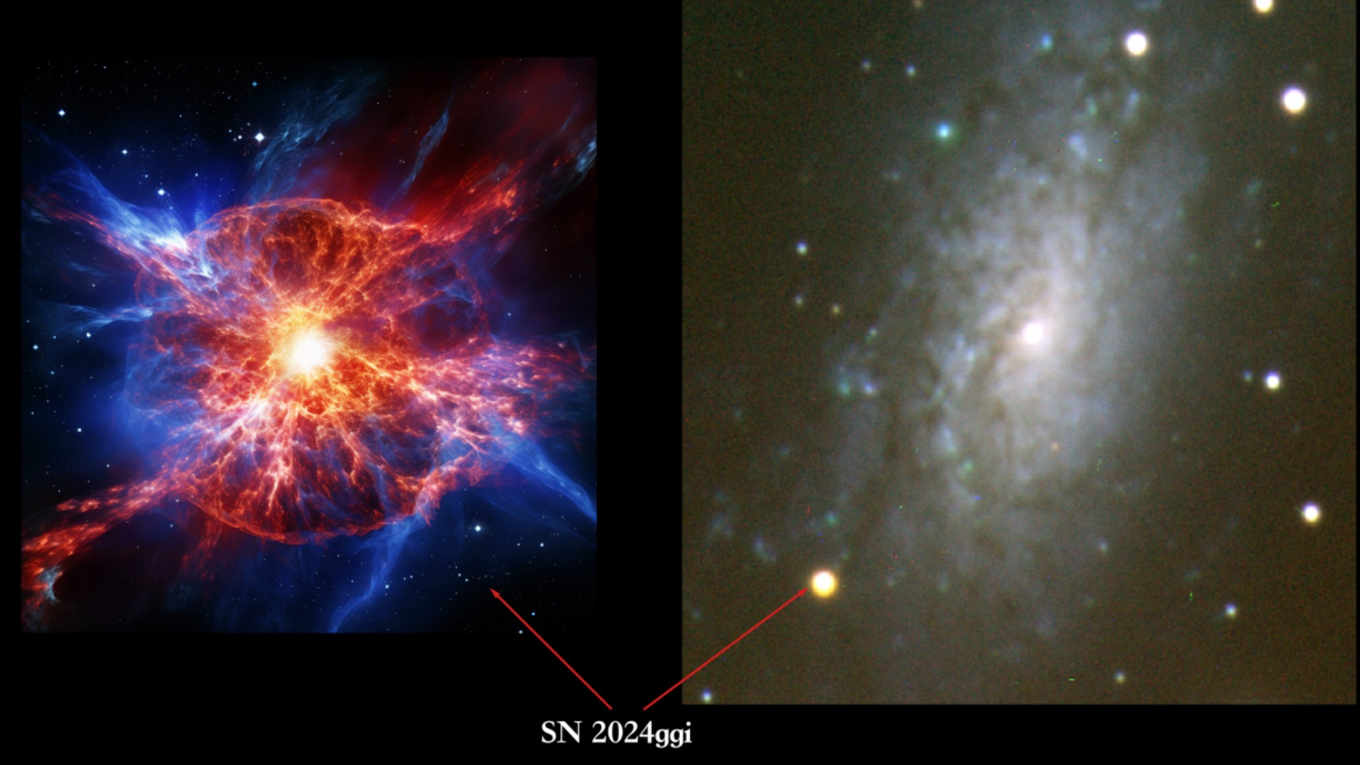 An illustration of the shock breakout of SN 2024ggi (L); observational image of SN 2024ggi and its host galaxy NGC 3621 (R). /CMG