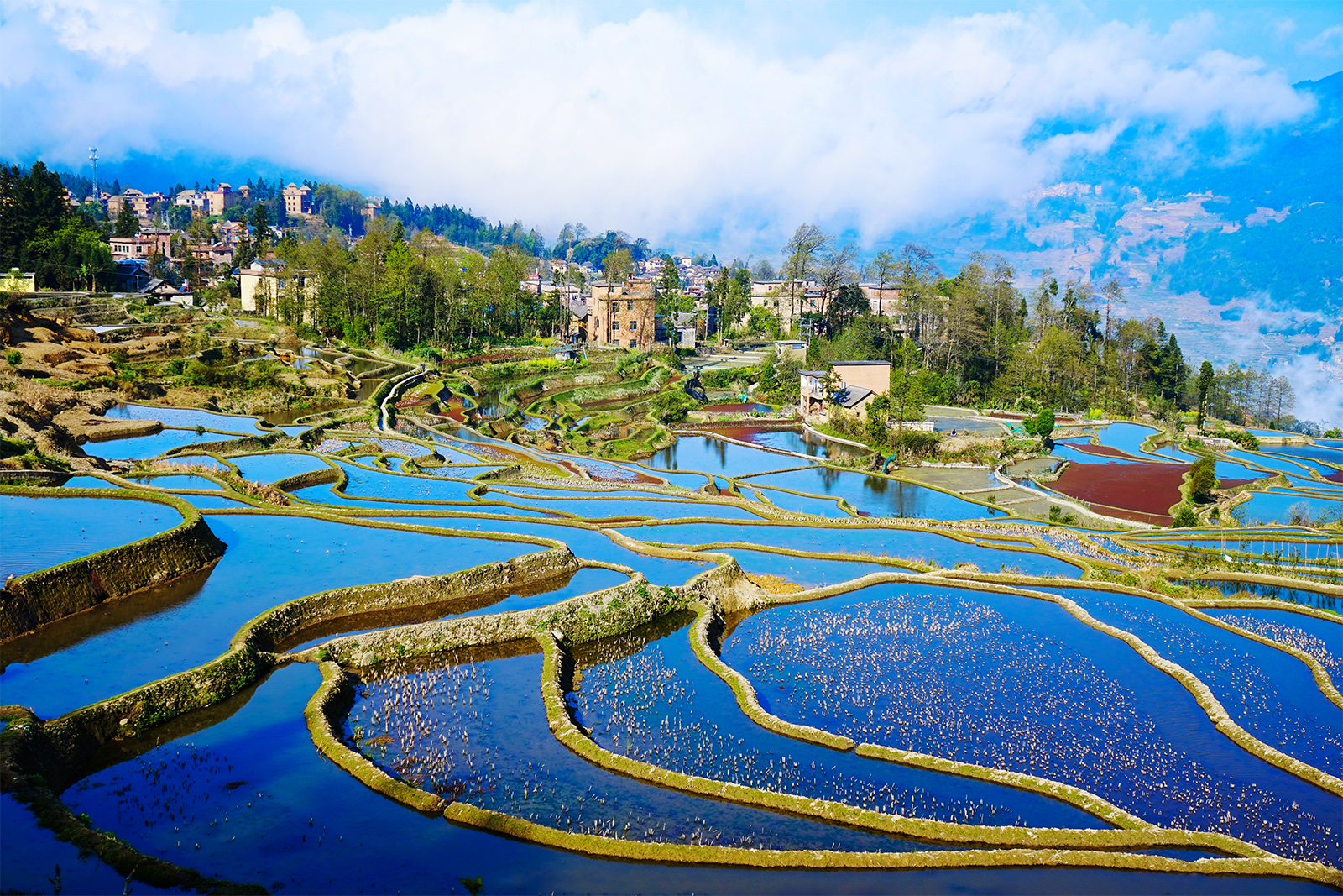 Reflecting the color of the sky, the Honghe Hani Rice Terraces in Yuanyang County, Yunnan Province appear blue on a sunny day. /IC