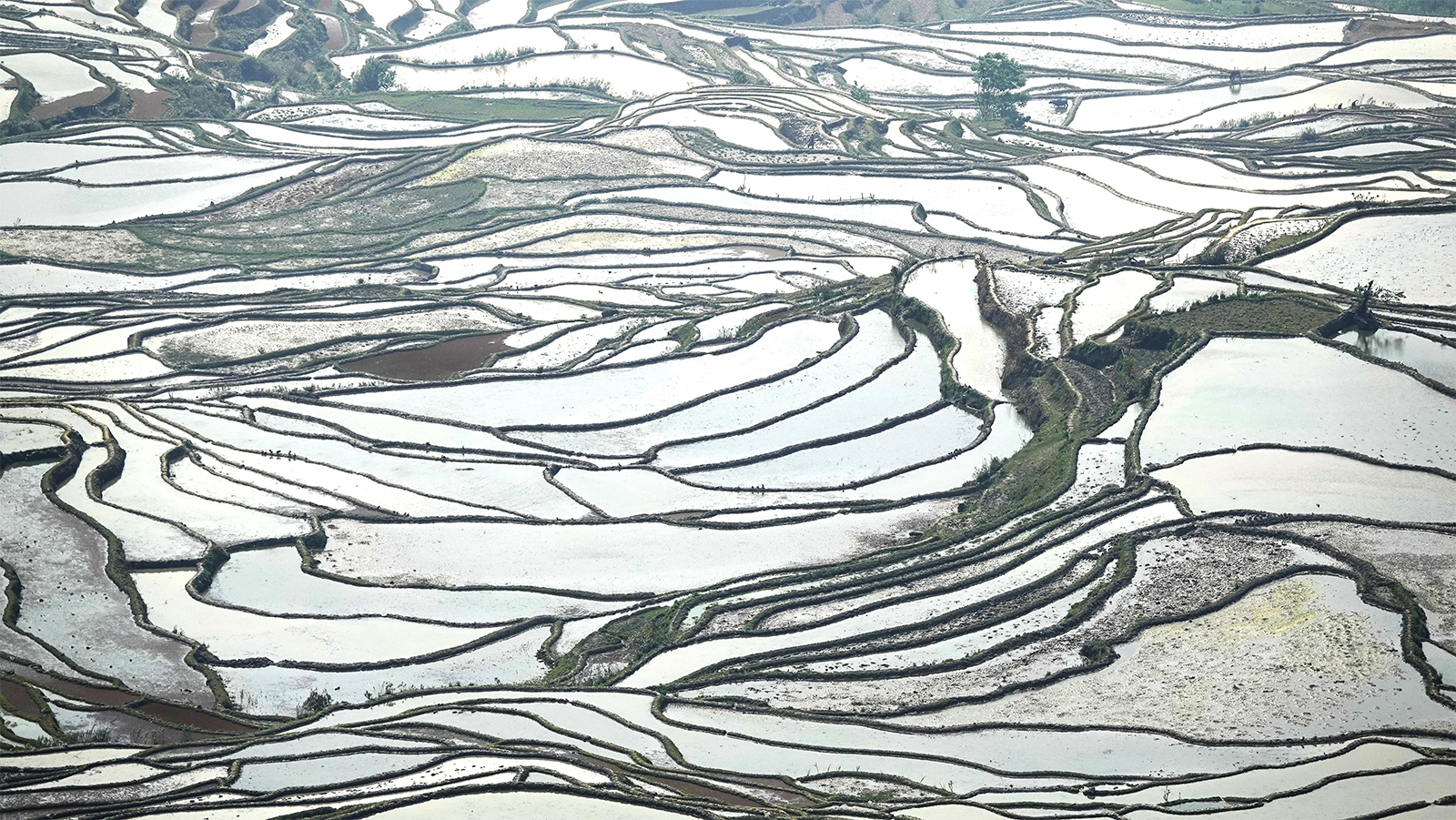 A view of the Honghe Hani Rice Terraces in Yuanyang County, Yunnan Province /IC