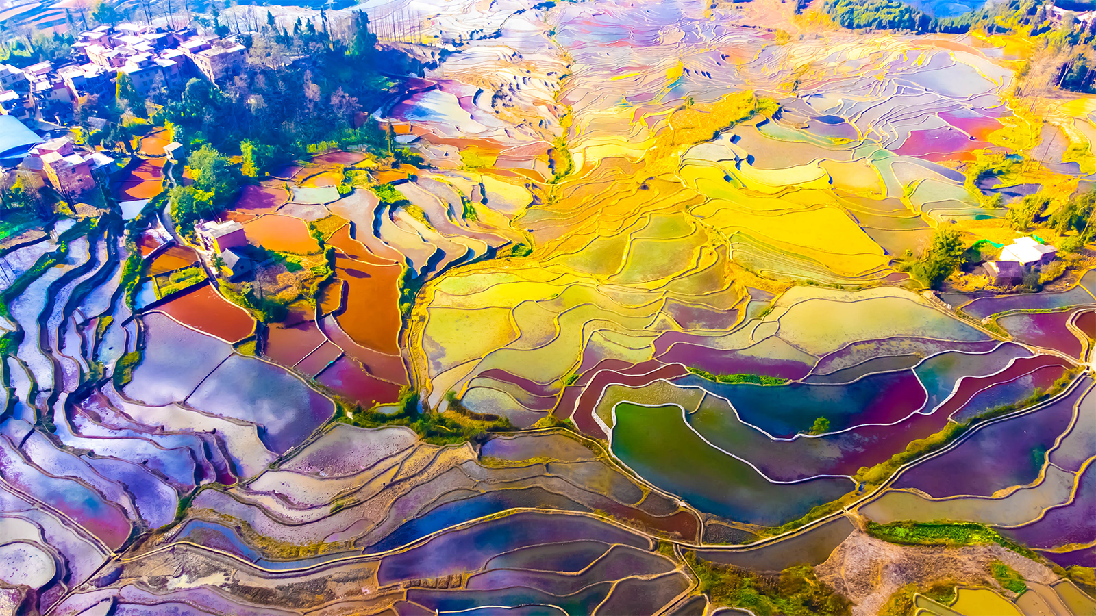 An aerial view of the colorful Honghe Hani Rice Terraces in Yuanyang County, Yunnan Province /IC