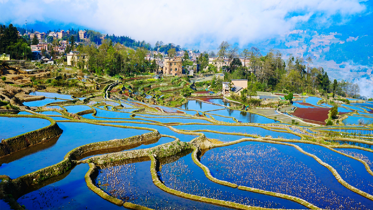 Colorful Honghe Hani Rice Terraces