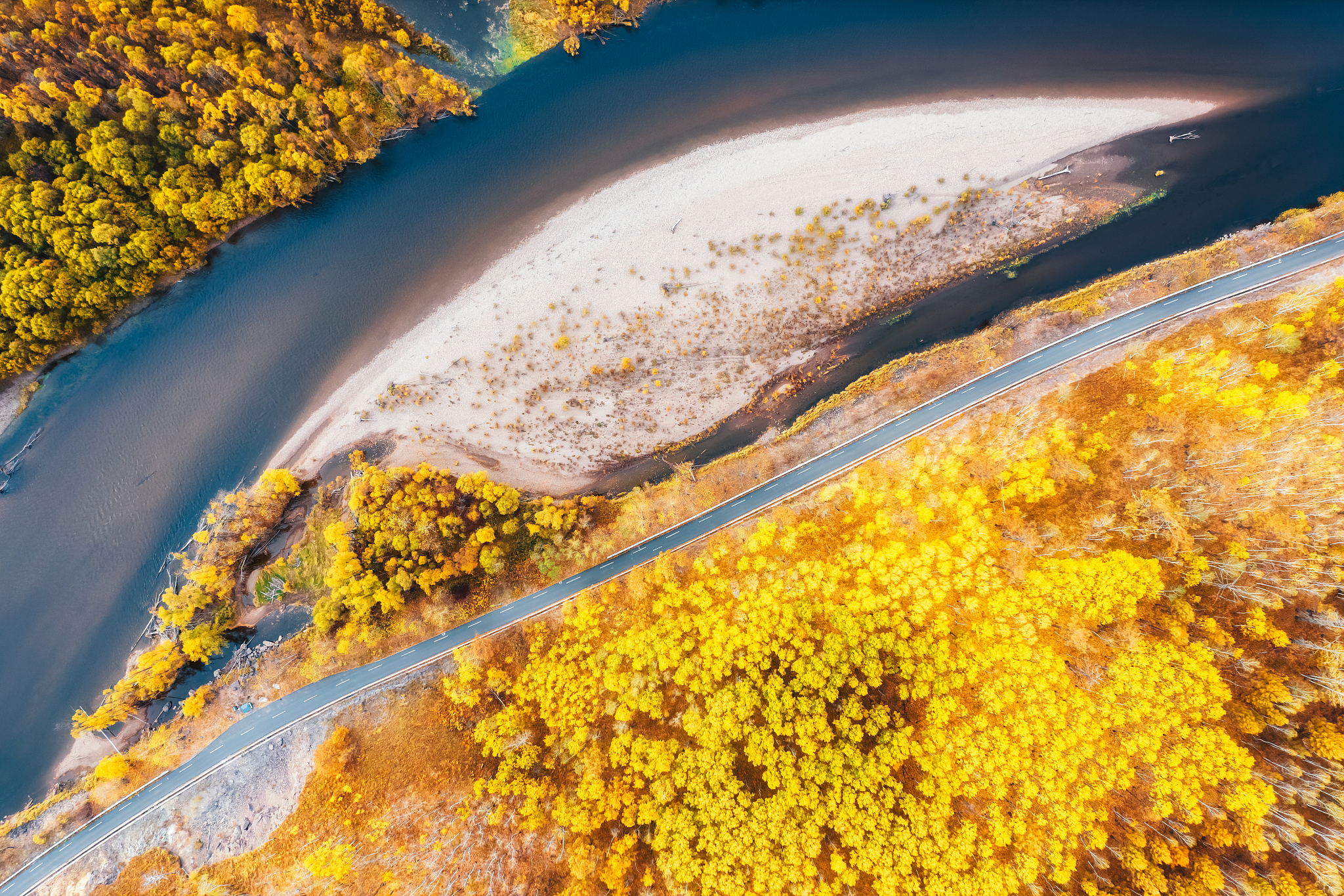 An aerial view of the autumn scenery in Genhe River National Wetland Park, Hulunbuir City, north China's Inner Mongolia Autonomous Region. /CFP