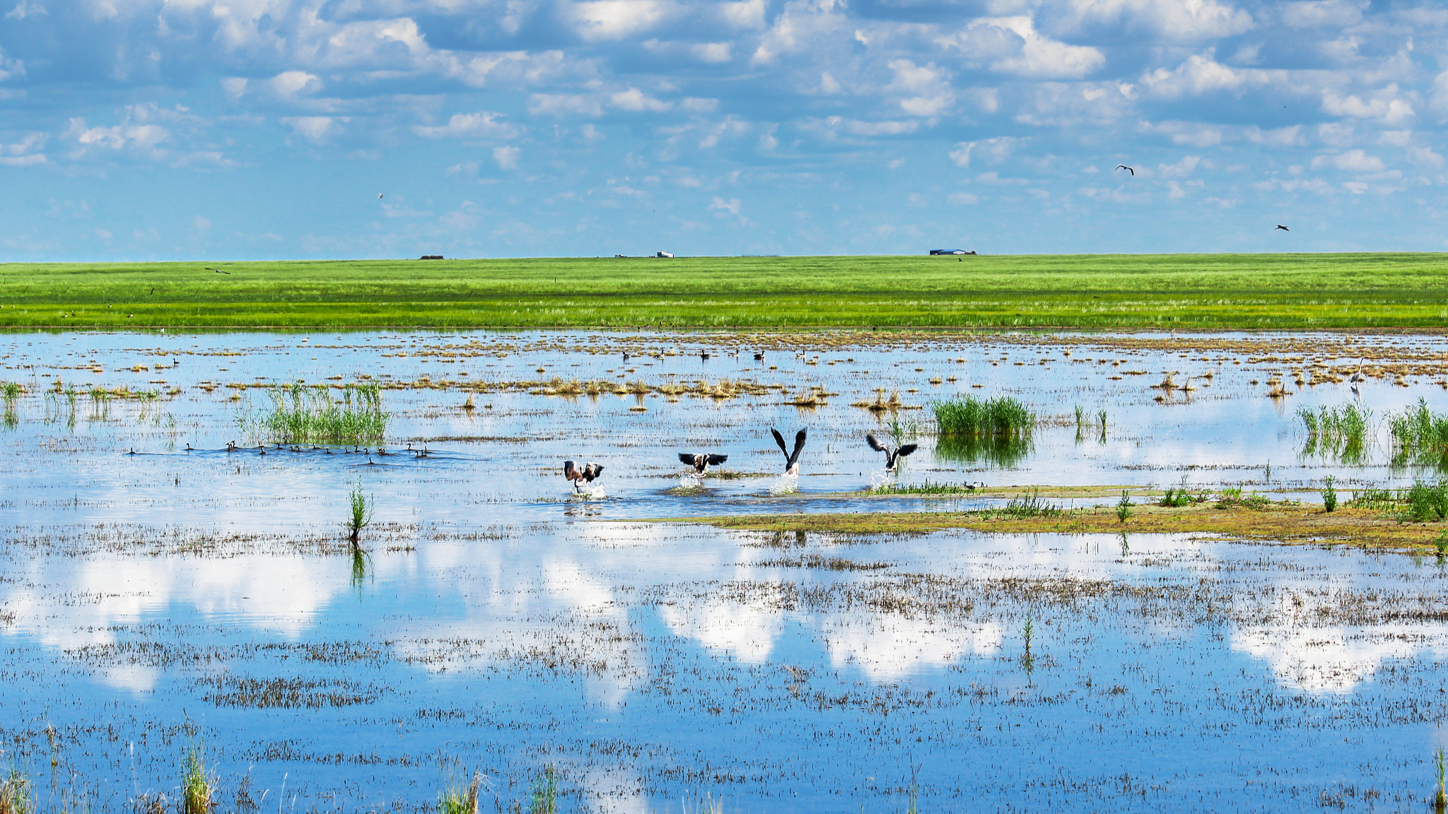 The wetlands scenery of the Erguna River basin in the Inner Mongolia Autonomous Region, North China. /CFP