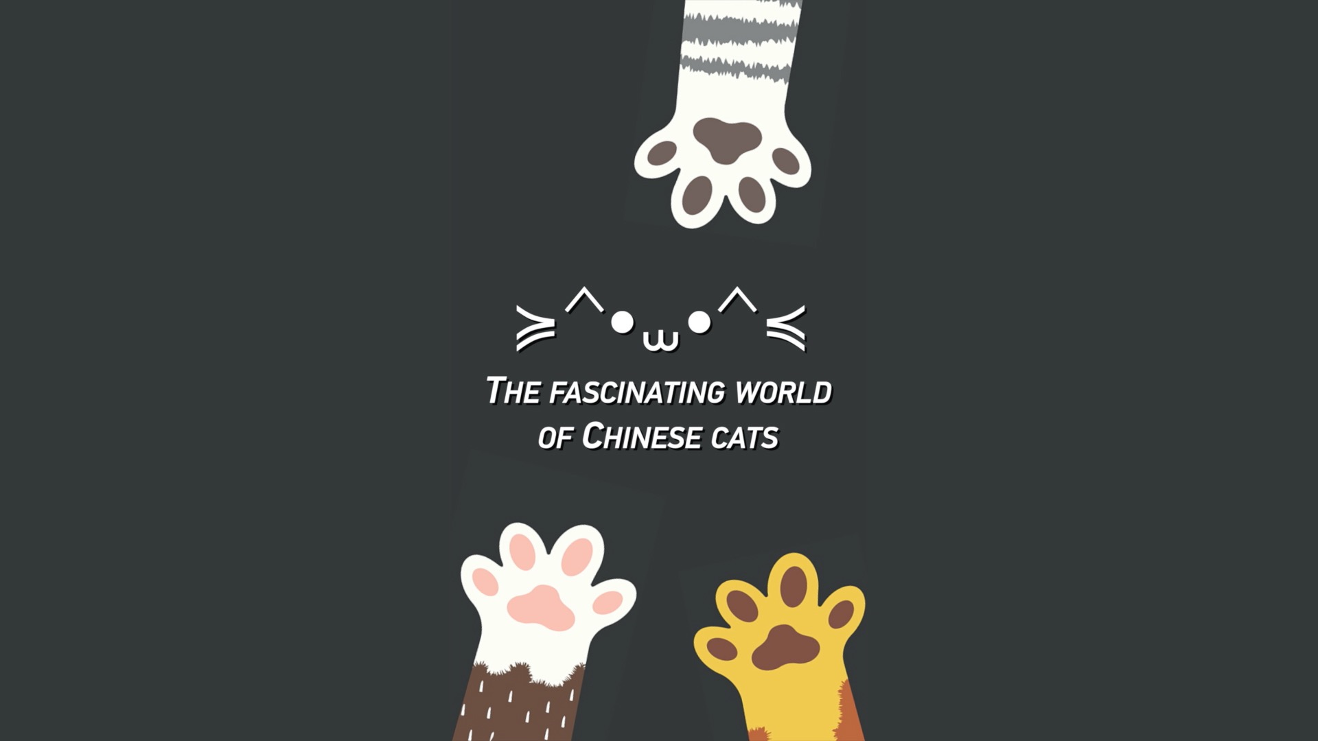 Culture Atlas: The fascinating world of Chinese cats