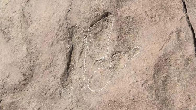 Tiny Dinosaur Tracks Discovered in Northwest China