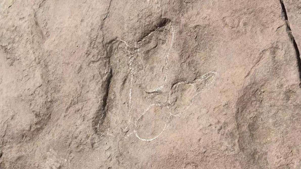 One of the fossilized dinosaur footprints discovered in northwest China's Gansu Province. /China Media Group