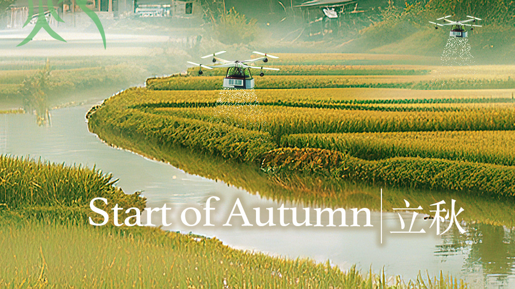 Start of Autumn on Chinese lunar calendar begins