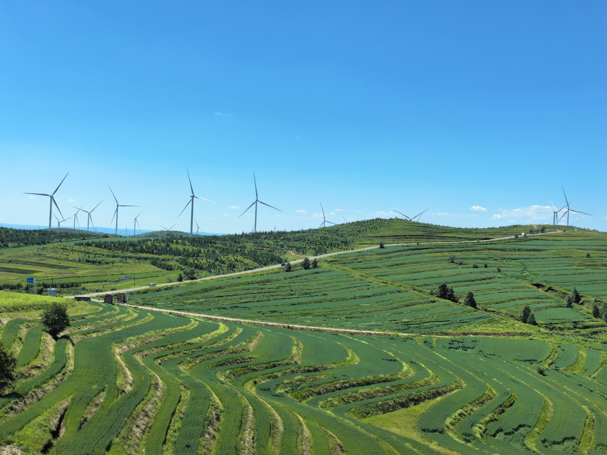 This photo taken on August 5 2024 shows the beauty of the scenery along the Grass Skyline, a grassland highway in Zhangjiakou, north China's Hebei Province. /CGTN