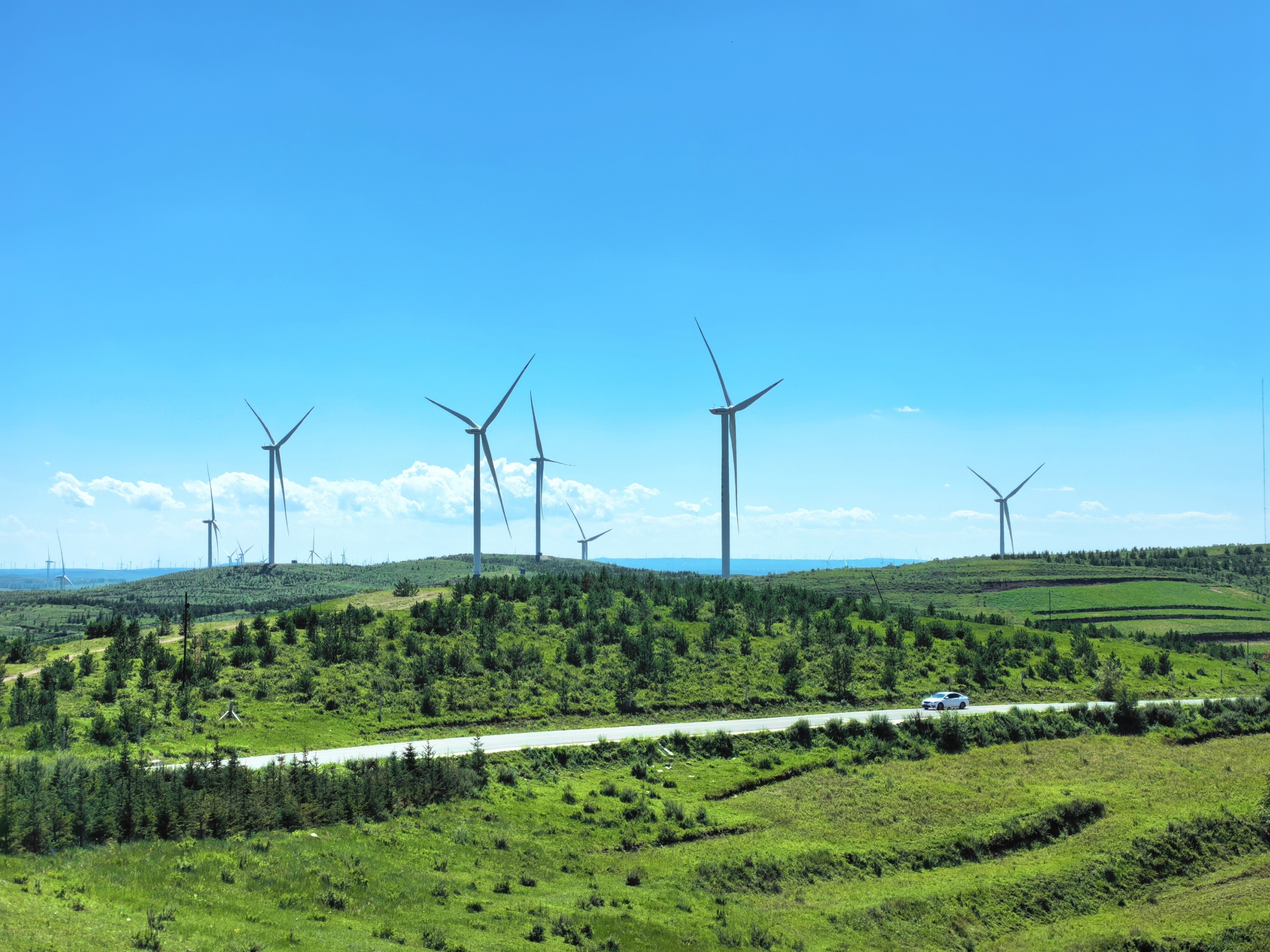 This photo taken on August 5 2024 shows the beauty of the scenery along the Grass Skyline, a grassland highway in Zhangjiakou, north China's Hebei Province. /CGTN