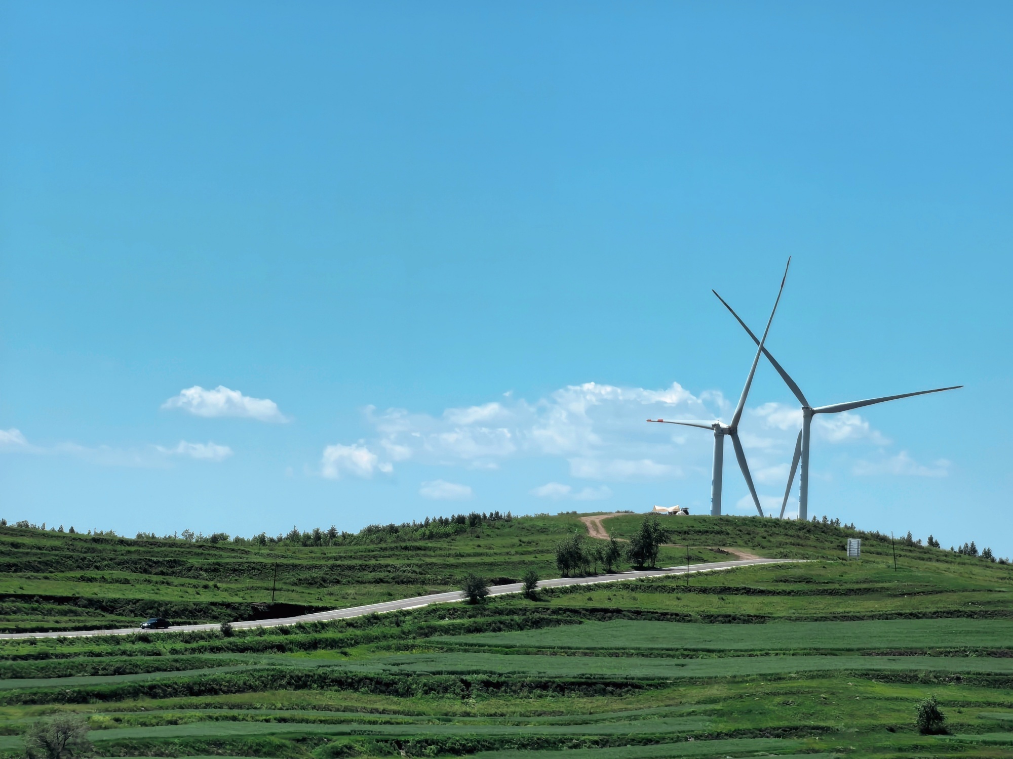 This photo taken on August 5 2024 shows the beauty of the scenery along the Grass Skyline, a grassland highway in Zhangjiakou, north China's Hebei Province. /CGTN