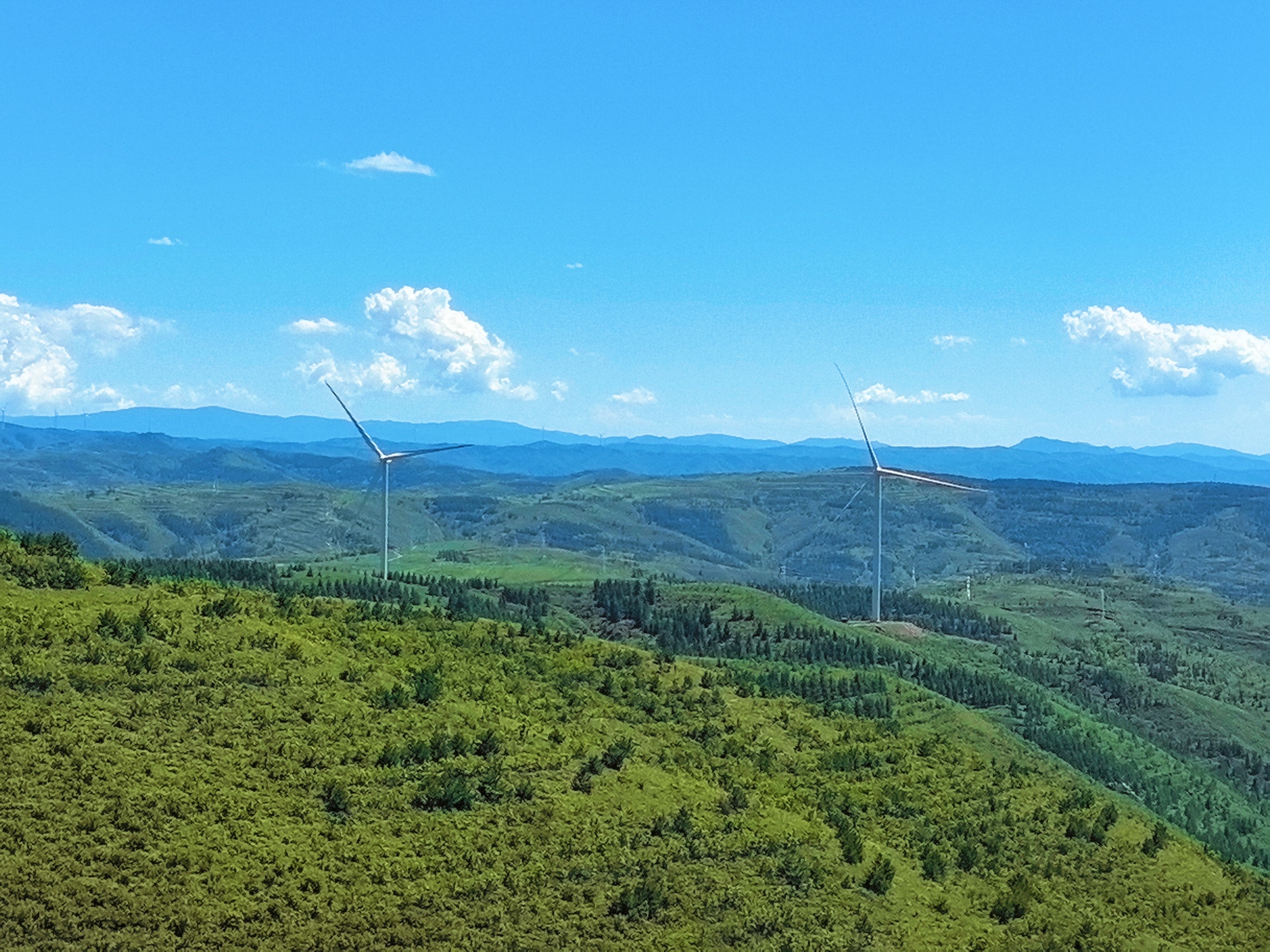 This photo taken on August 5 2024 shows the beauty of the scenery along the Grass Skyline, a grassland highway in Zhangjiakou, north China's Hebei Province. /CGTN